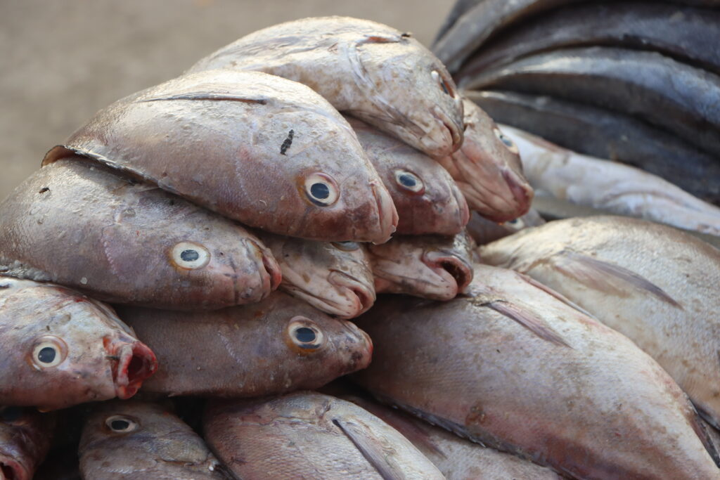 20211112185649_IMG_4278