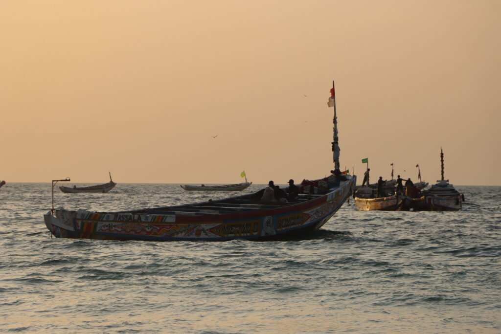 20211112190923_IMG_4333