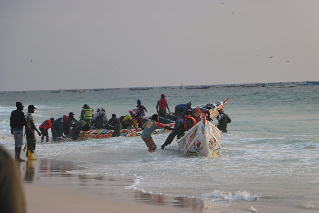 20211112191538_IMG_4368