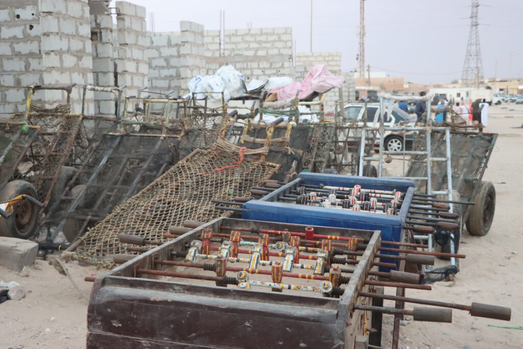 20211112193607_IMG_4477