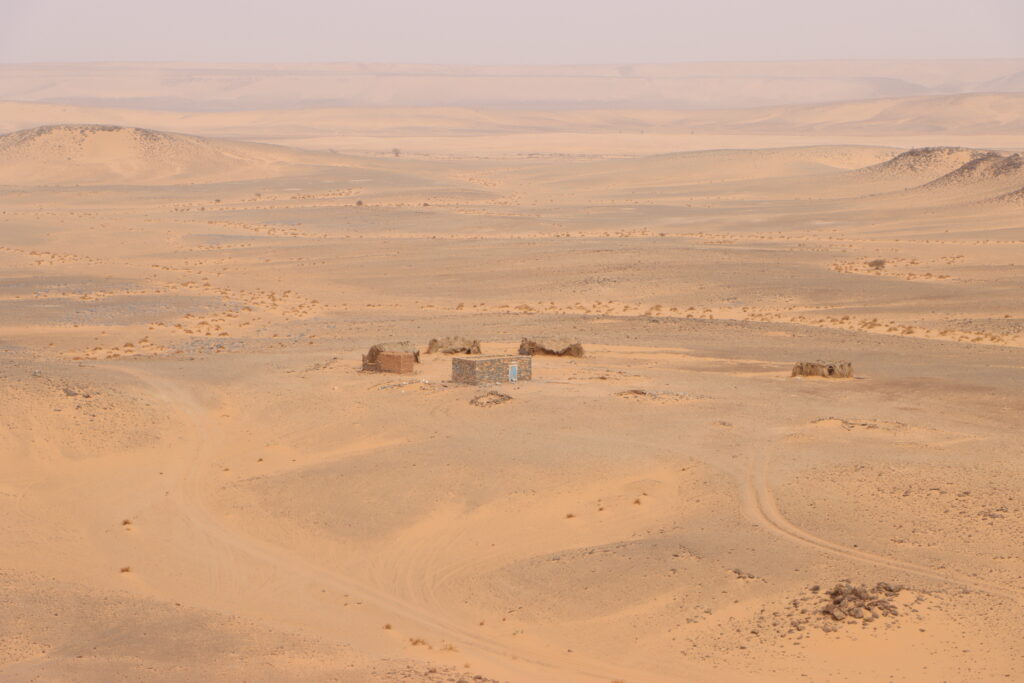 20211109143739_IMG_2812