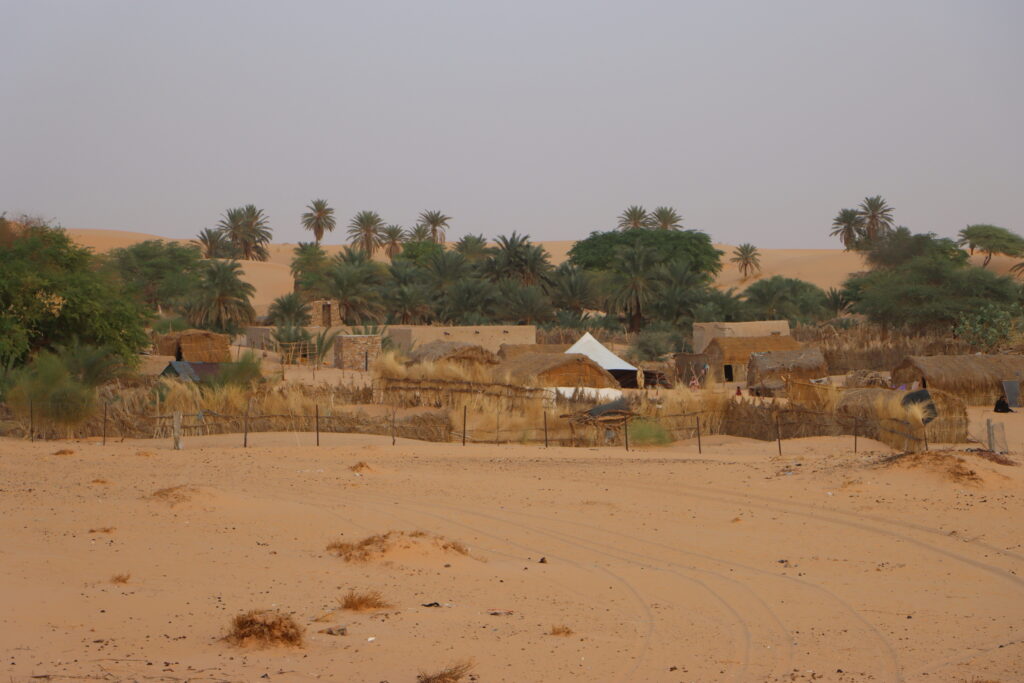 20211109184836_IMG_2943