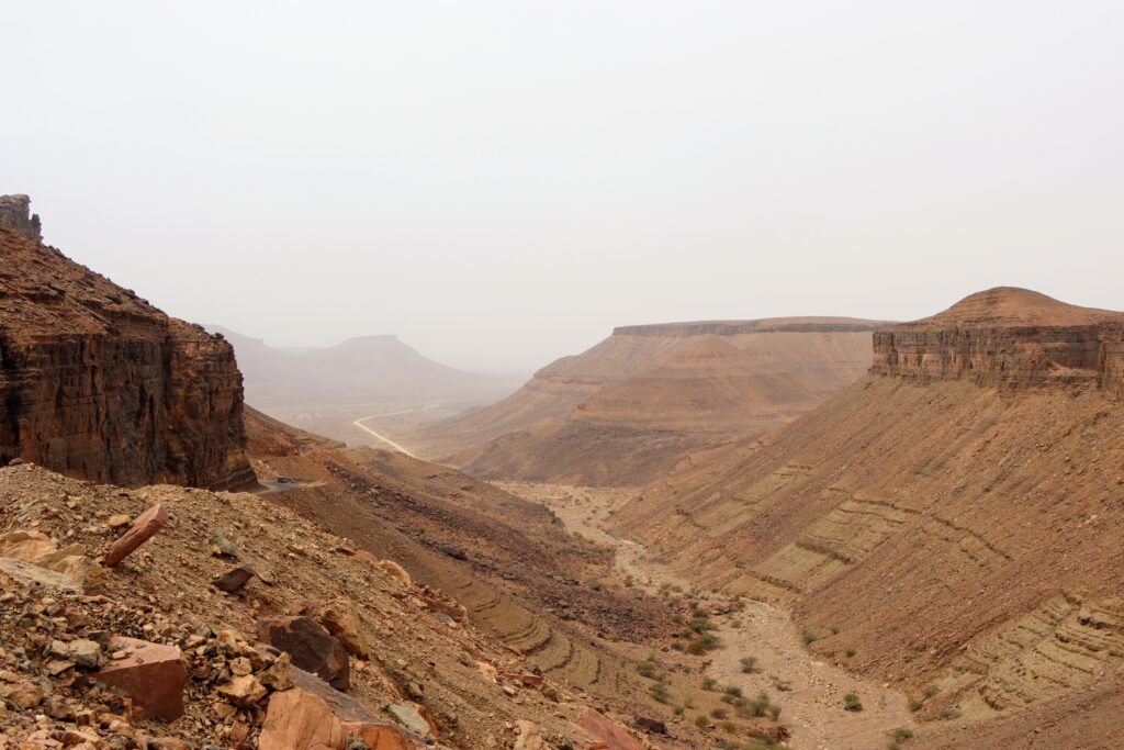 20211110125727_IMG_3384~2