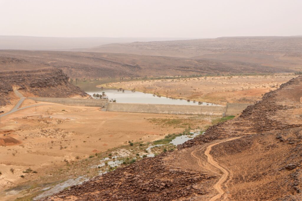 20211110160023_IMG_3417~2