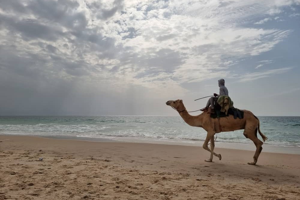 WhatsApp Image 2024-06-03 at 20.05.47